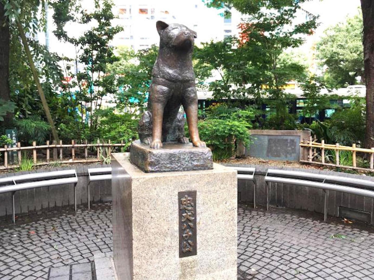 Building A101 / Vacation Stay 1275 Tokyo Esterno foto