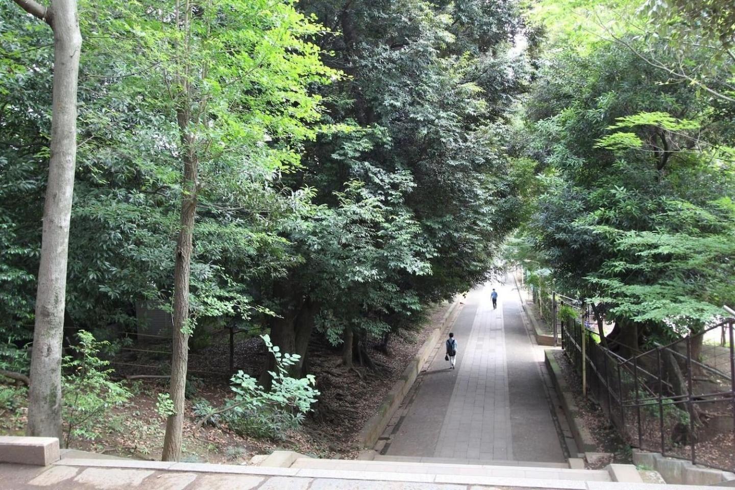 Building A101 / Vacation Stay 1275 Tokyo Esterno foto